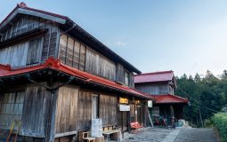 Tsunaihaiya: Meaning, Origins, and Growing