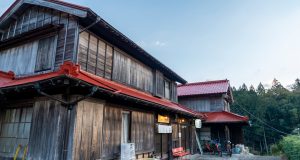 Tsunaihaiya: Meaning, Origins, and Growing