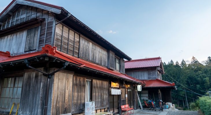 Tsunaihaiya: Meaning, Origins, and Growing