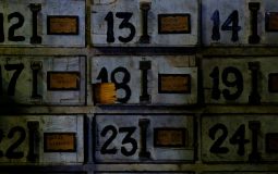 35255060455: A Complete and In-Depth Guide to Understanding Its Meaning and Significance