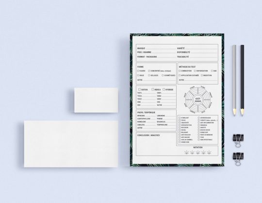 4 Internal Developer Portal Platforms for Managing Microservices and APIs