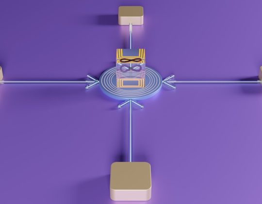 What Is WordPress VIP and How Does Self-Hosted On-Premises Deployment Work?