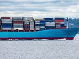 Docker Run Bash: docker run -it bash vs docker exec -it bash for Working Inside Containers