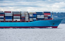 Docker Run Bash: docker run -it bash vs docker exec -it bash for Working Inside Containers