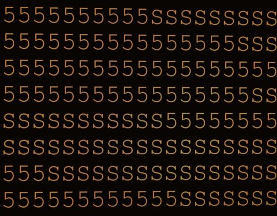 How Many IP Addresses Are in a /28 Subnet?