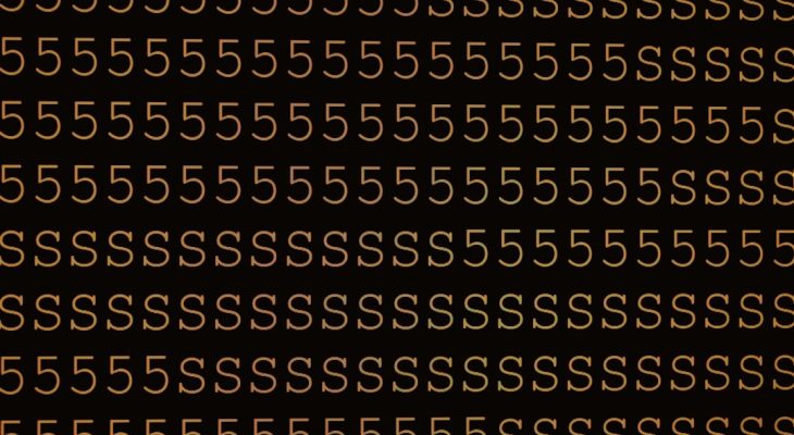 How Many IP Addresses Are in a /28 Subnet?