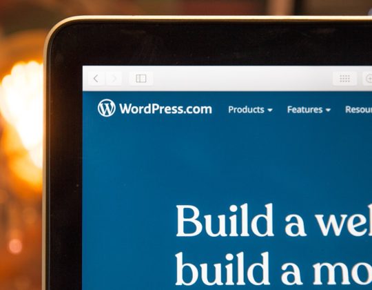 Best White Label WordPress Development Services for Digital Agencies