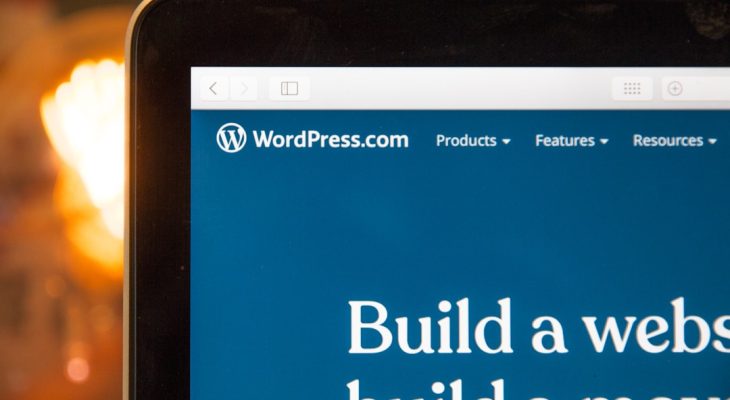 Best White Label WordPress Development Services for Digital Agencies