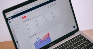 Online Brand Protection Companies: Red Points vs BrandVerity for Protecting Digital Brands