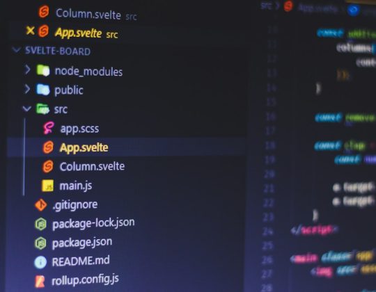 Core WordPress Files: WordPress Core vs WordPress Plugins for Understanding Website Architecture